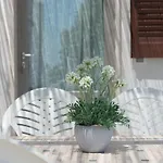 Tenuta Masiedd Villa *